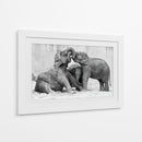 Crías de elefante juguetonas - Antje Wenner-Braun | Cuadro decorativo de Canvas Lab