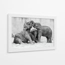 Crías de elefante juguetonas - Antje Wenner-Braun | Cuadro decorativo de Canvas Lab