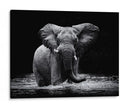 Elefante majestuoso en el agua - Gorazd Golob | Cuadro decorativo de Canvas Lab
