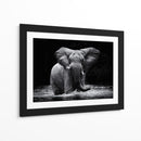 Elefante majestuoso en el agua - Gorazd Golob | Cuadro decorativo de Canvas Lab