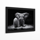 Elefante majestuoso en el agua - Gorazd Golob | Cuadro decorativo de Canvas Lab