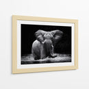 Elefante majestuoso en el agua - Gorazd Golob | Cuadro decorativo de Canvas Lab
