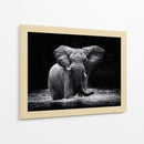 Elefante majestuoso en el agua - Gorazd Golob | Cuadro decorativo de Canvas Lab