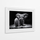 Elefante majestuoso en el agua - Gorazd Golob | Cuadro decorativo de Canvas Lab