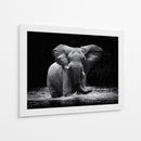 Elefante majestuoso en el agua - Gorazd Golob | Cuadro decorativo de Canvas Lab
