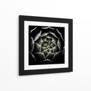 Espiral suculenta difusa - Victor Mozqueda | Cuadro decorativo de Canvas Lab