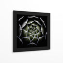 Espiral suculenta difusa - Victor Mozqueda | Cuadro decorativo de Canvas Lab
