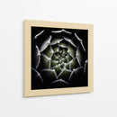 Espiral suculenta difusa - Victor Mozqueda | Cuadro decorativo de Canvas Lab