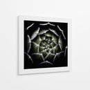 Espiral suculenta difusa - Victor Mozqueda | Cuadro decorativo de Canvas Lab