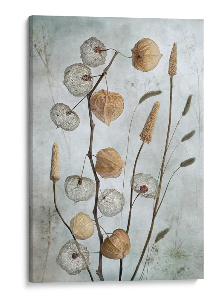 Faroles* - Mandy Disher | Cuadro decorativo de Canvas Lab