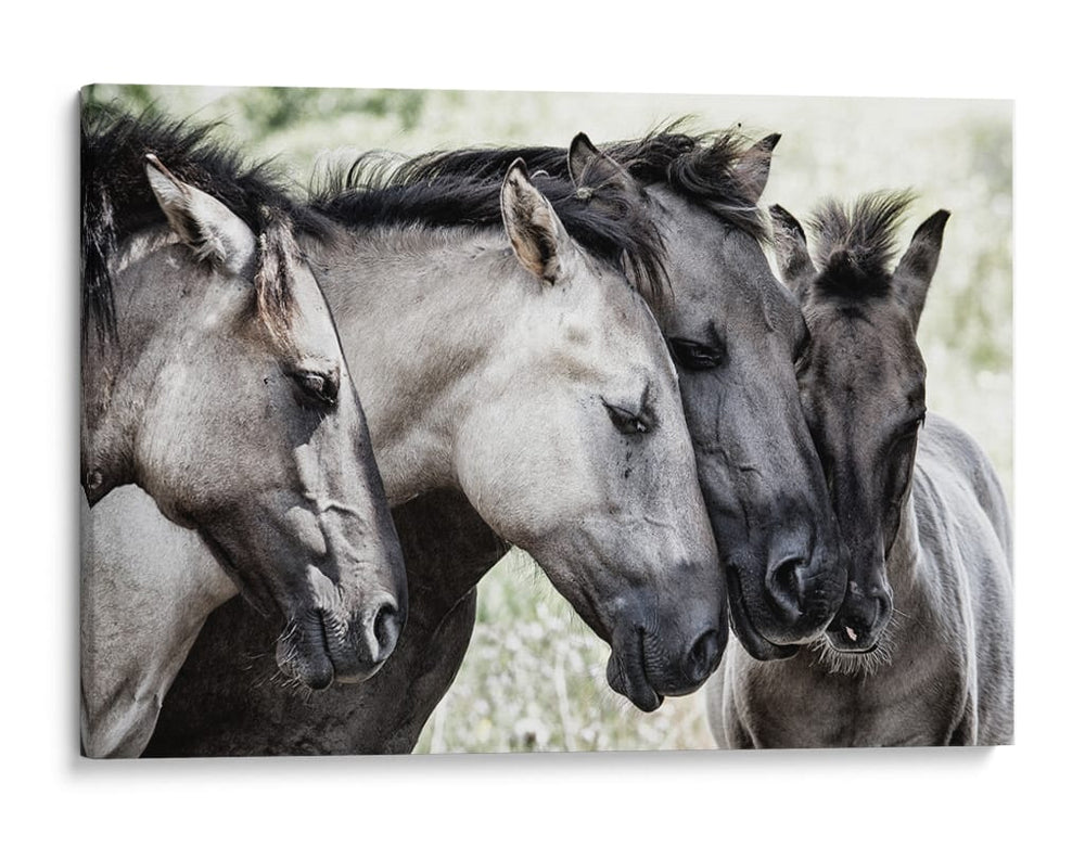 Familia de caballos pacíficos - Jaap van den | Cuadro decorativo de Canvas Lab