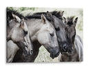 Familia de caballos pacíficos - Jaap van den | Cuadro decorativo de Canvas Lab