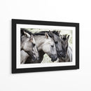 Familia de caballos pacíficos - Jaap van den | Cuadro decorativo de Canvas Lab