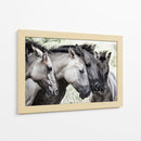 Familia de caballos pacíficos - Jaap van den | Cuadro decorativo de Canvas Lab