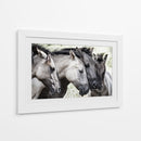 Familia de caballos pacíficos - Jaap van den | Cuadro decorativo de Canvas Lab