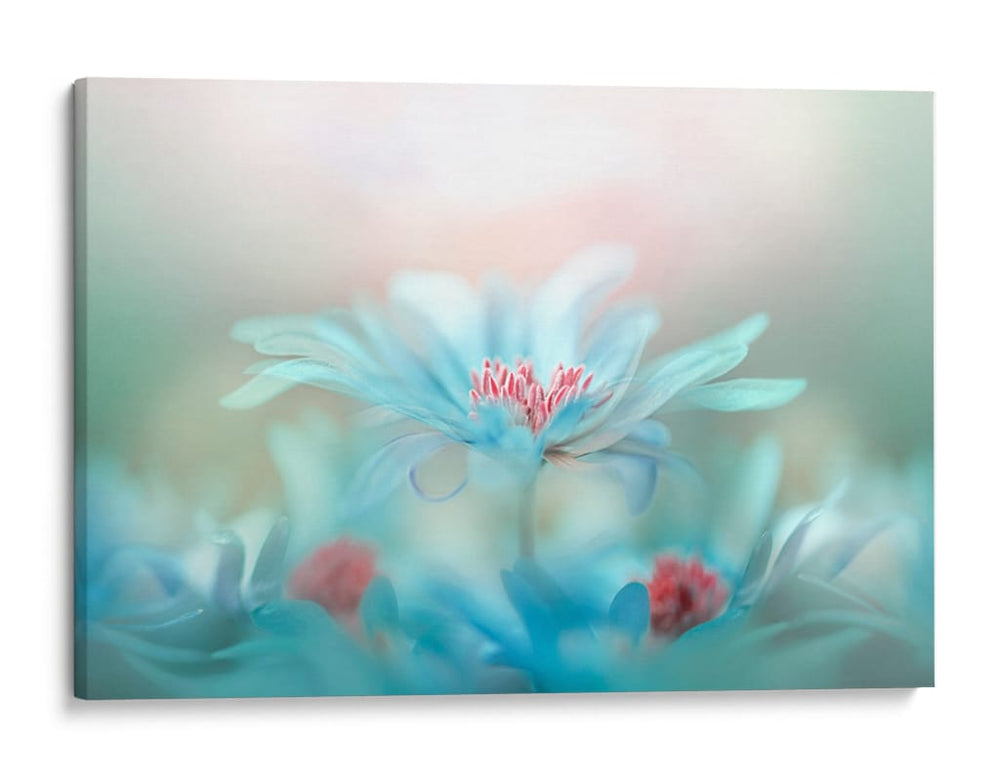 Flores azules de ensueño - Jacky Parker | Cuadro decorativo de Canvas Lab