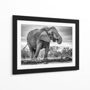 Elefante africano bebiendo - Jaco Marx | Cuadro decorativo de Canvas Lab
