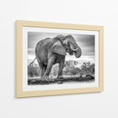 Elefante africano bebiendo - Jaco Marx | Cuadro decorativo de Canvas Lab