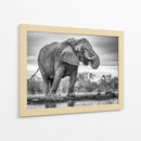 Elefante africano bebiendo - Jaco Marx | Cuadro decorativo de Canvas Lab