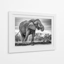 Elefante africano bebiendo - Jaco Marx | Cuadro decorativo de Canvas Lab