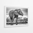 Elefante africano bebiendo - Jaco Marx | Cuadro decorativo de Canvas Lab
