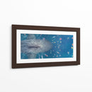 The Meg | Cuadro decorativo de Canvas Lab