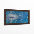 The Meg | Cuadro decorativo de Canvas Lab