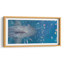 The Meg | Cuadro decorativo de Canvas Lab