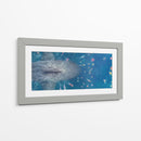 The Meg | Cuadro decorativo de Canvas Lab