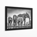 Elefantes africanos en un abrevadero - Jaco Marx | Cuadro decorativo de Canvas Lab