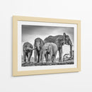 Elefantes africanos en un abrevadero - Jaco Marx | Cuadro decorativo de Canvas Lab