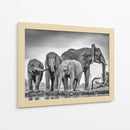 Elefantes africanos en un abrevadero - Jaco Marx | Cuadro decorativo de Canvas Lab