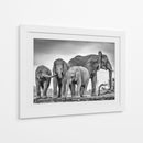Elefantes africanos en un abrevadero - Jaco Marx | Cuadro decorativo de Canvas Lab