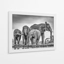 Elefantes africanos en un abrevadero - Jaco Marx | Cuadro decorativo de Canvas Lab