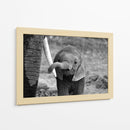 El curioso bebé elefante - Bjoern Alicke | Cuadro decorativo de Canvas Lab