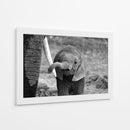 El curioso bebé elefante - Bjoern Alicke | Cuadro decorativo de Canvas Lab