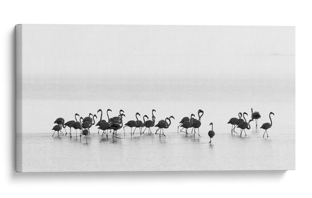 Flamencos elegantes vadeando - Joan Gil Raga | Cuadro decorativo de Canvas Lab