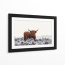 Helada invernal de vaca de las tierras altas - Jaap van den | Cuadro decorativo de Canvas Lab