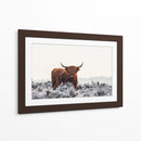 Helada invernal de vaca de las tierras altas - Jaap van den | Cuadro decorativo de Canvas Lab
