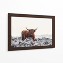 Helada invernal de vaca de las tierras altas - Jaap van den | Cuadro decorativo de Canvas Lab