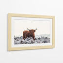 Helada invernal de vaca de las tierras altas - Jaap van den | Cuadro decorativo de Canvas Lab