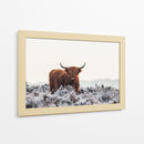 Helada invernal de vaca de las tierras altas - Jaap van den | Cuadro decorativo de Canvas Lab
