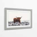 Helada invernal de vaca de las tierras altas - Jaap van den | Cuadro decorativo de Canvas Lab