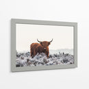 Helada invernal de vaca de las tierras altas - Jaap van den | Cuadro decorativo de Canvas Lab