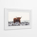 Helada invernal de vaca de las tierras altas - Jaap van den | Cuadro decorativo de Canvas Lab