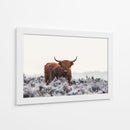 Helada invernal de vaca de las tierras altas - Jaap van den | Cuadro decorativo de Canvas Lab