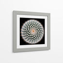 Cuadro decorativo de Canvas Lab