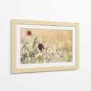 Fritilaria matutina cubierta de rocío - Anton van Dongen | Cuadro decorativo de Canvas Lab