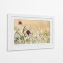 Fritilaria matutina cubierta de rocío - Anton van Dongen | Cuadro decorativo de Canvas Lab