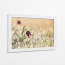 Fritilaria matutina cubierta de rocío - Anton van Dongen | Cuadro decorativo de Canvas Lab